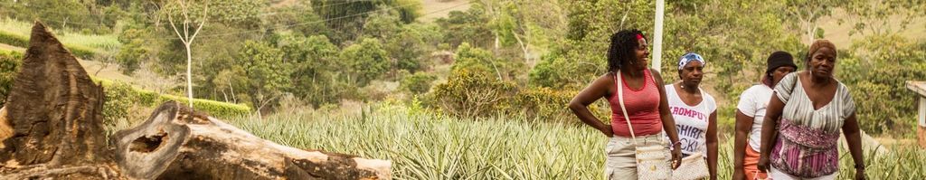 Blog Banner