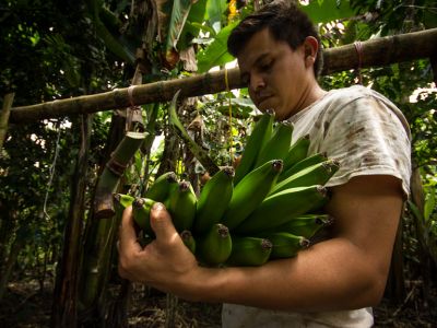 Meet the Farmer: Francisco Rodriguez,  26 years old, Organic Banana Farmer